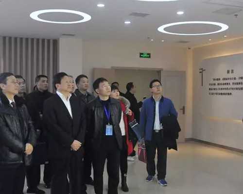 成都助孕公司推荐：助力生殖健康，专家解析5大品牌