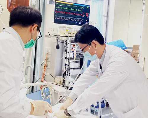 探秘四川借卵代怀生男孩费用与成功率：多孩家庭生育新选择