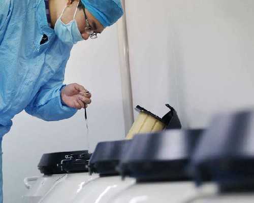 成都有供卵试管的群吗,12026年成都西囡医院试管供卵费用要多少钱?