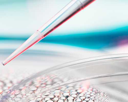 成都供卵试管医院排名及费用解析：生殖妇幼医院助您圆梦双胞胎