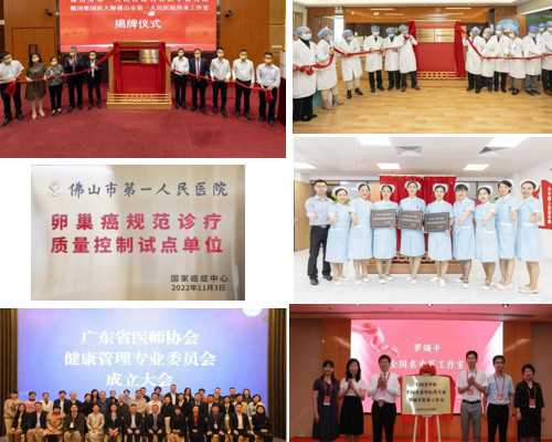 热门私人助孕机构名录与成功率分析