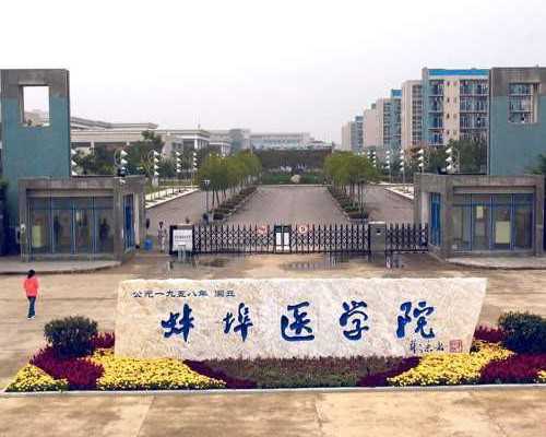 关于成都供卵试管婴儿的详细指南，助您成功孕育