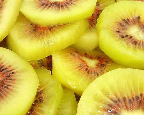 成都43岁供卵自怀成功率及费用解析：2026助孕指南