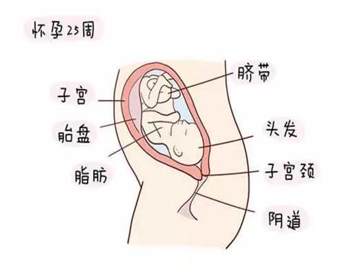 北京代孕多久B超可见胎心胎芽