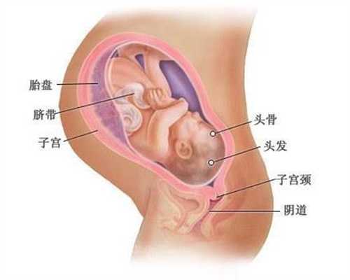 北京代孕五个月偶尔肚子疼怎么回事，北京代孕