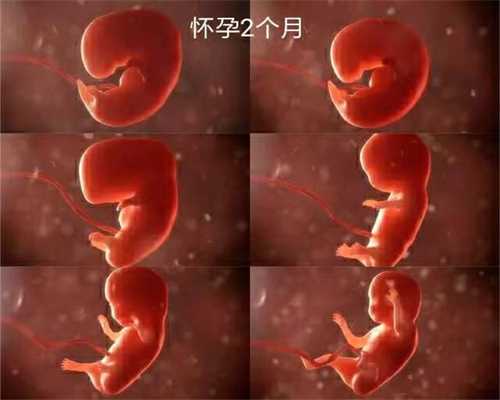北京代孕3个月才开始吐怎样判别是男是女？