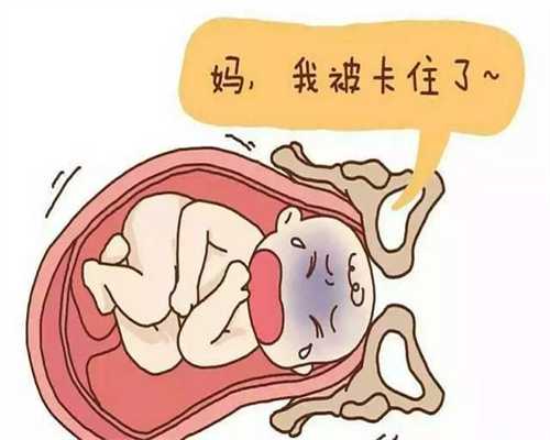 北京代孕能吃鱼胶吗