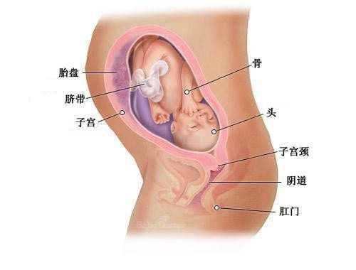 香港单身女性做三代试管_未婚可以在泰国做试管婴儿吗_单身去国外做试管美国
